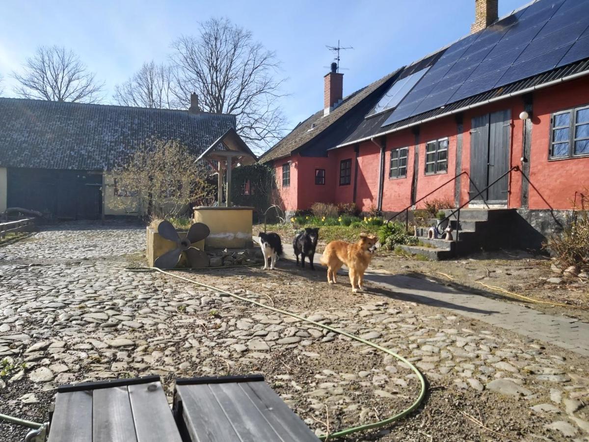 Bolshavnvej5 Bed & Breakfast ภายนอก รูปภาพ
